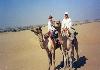 Harasar Haveli Camel ride